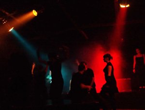 OLYMPUS DIGITAL CAMERA