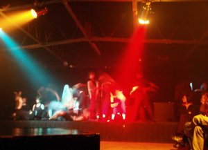 OLYMPUS DIGITAL CAMERA